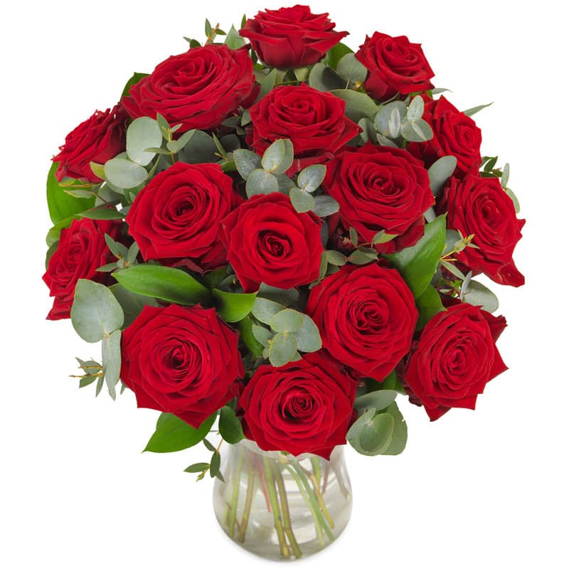 15 Red Roses - Florist Online - McFlor Flowers Delivery